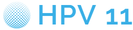 HPV11